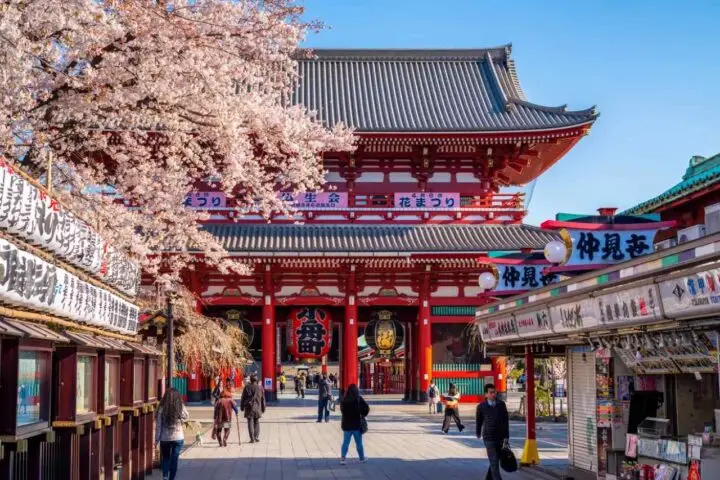 Tokyo First Discovery