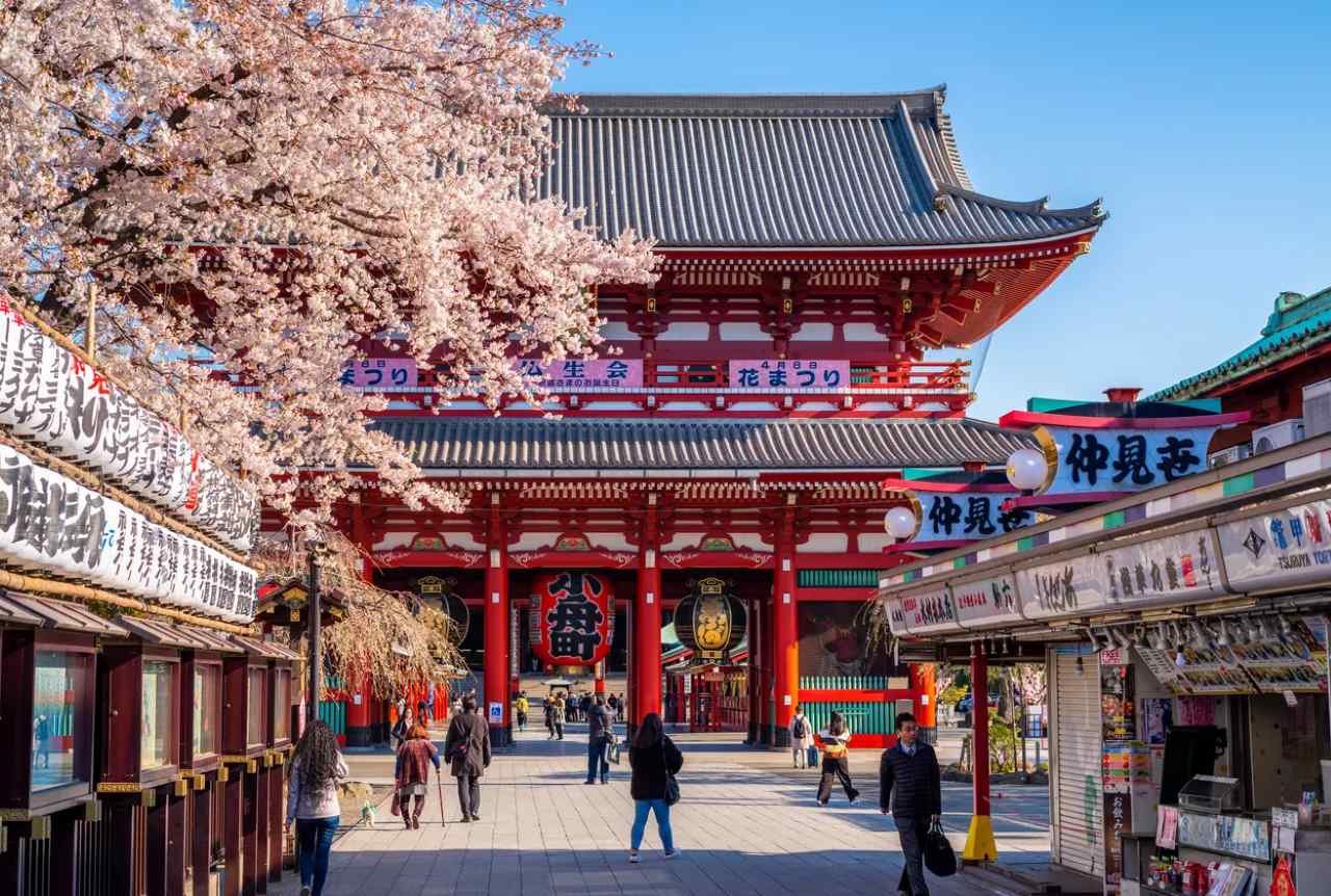 Tokyo First Discovery